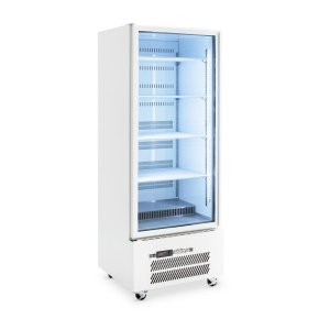 HQS1GW Upright commercial 1 door refrigerator